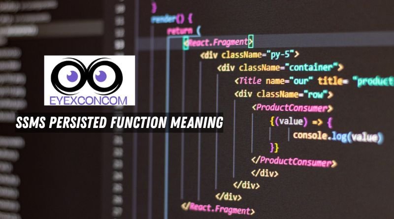 SSMS Persisted Function Meaning